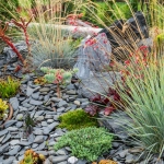 Transform Your Backyard: Embrace a Lawn-less Oasis